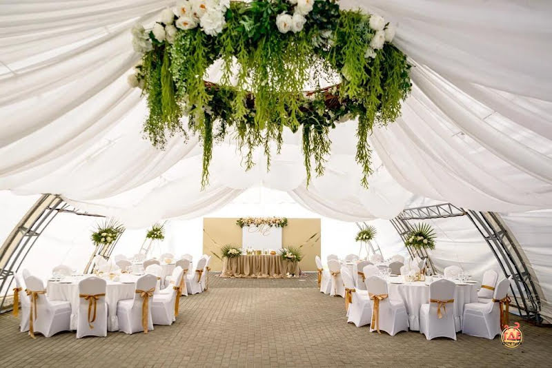 Сосны фотография №7