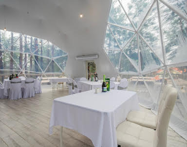  ресторан Лесная галактика