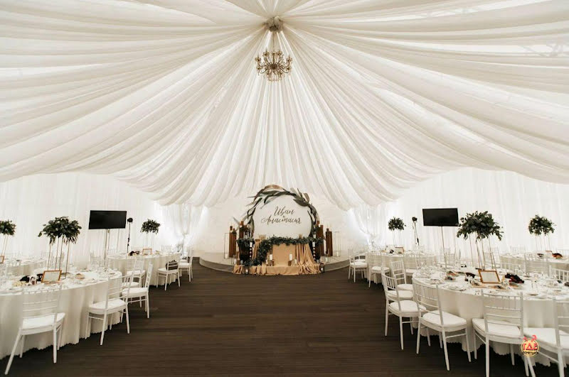 Гуси-Лебеди фотография №10