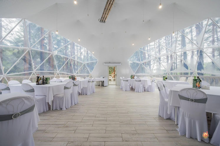 Купол «Премьер» в «Лесная галактика» фотография №10