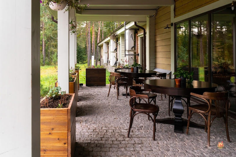 Лес фотография №16