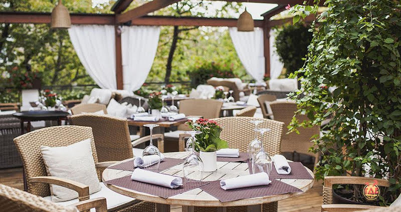 Аист фотография №12