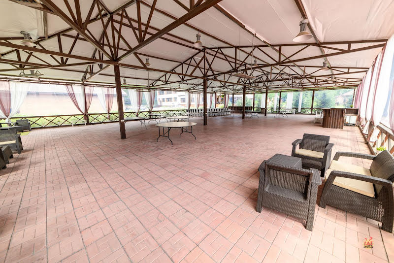 Шишка фотография №18