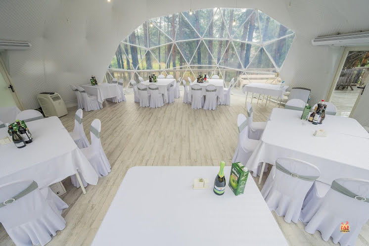 Купол «Премьер» в «Лесная галактика» фотография №6