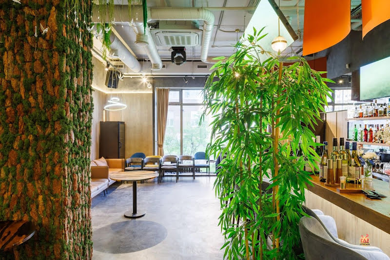 Lianel фотография №8