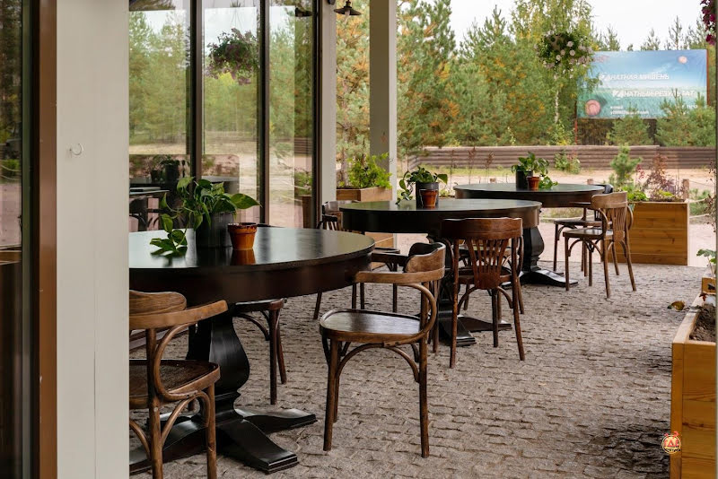 Лес фотография №14