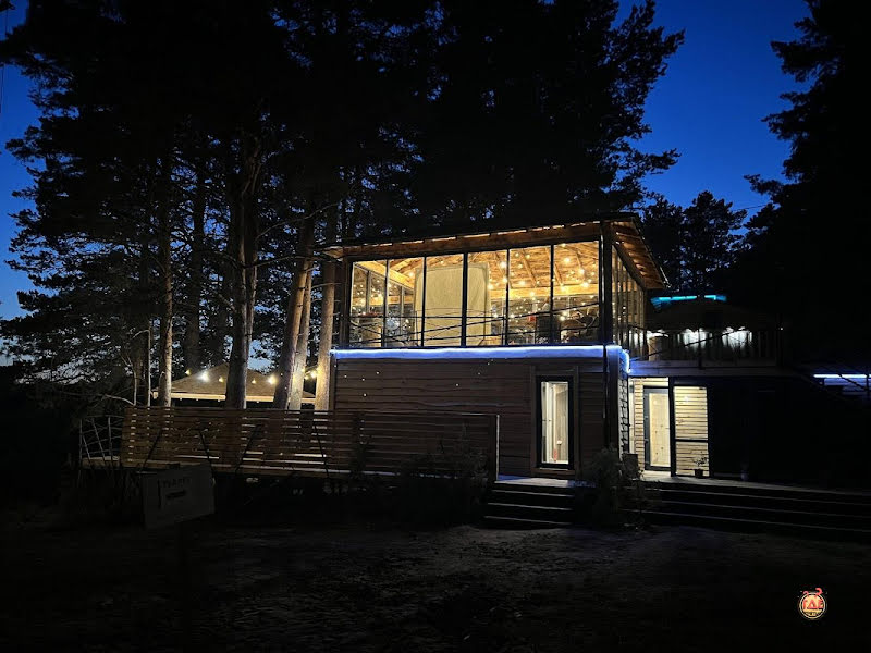 Гнездо фотография №15