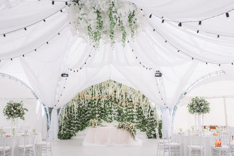 Тропикана Парк фотография №14