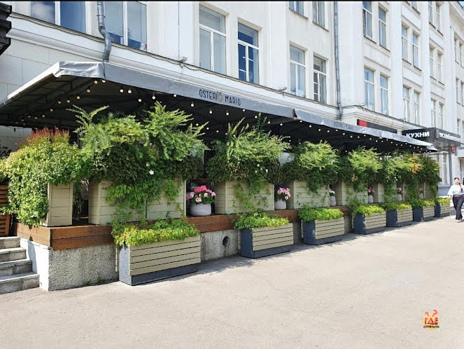 Летняя веранда в «Osteria Mario на Соколе» фотография №2