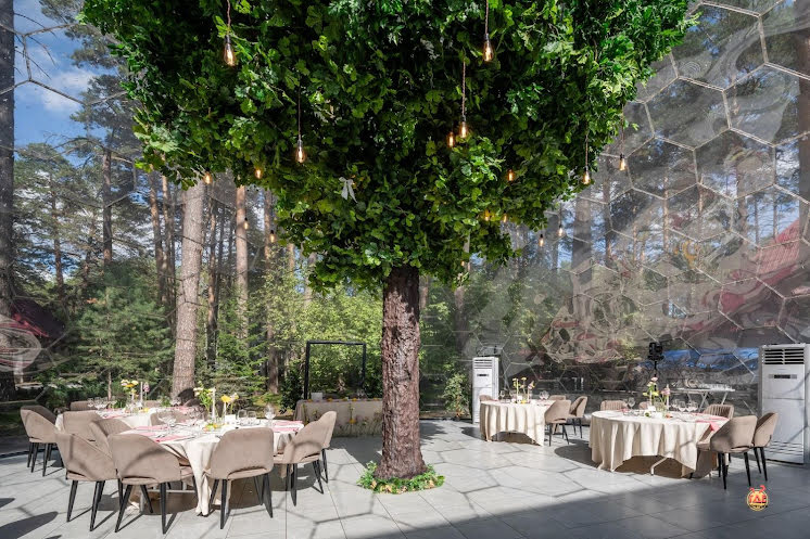 Эйва в «Хвоя» фотография №19