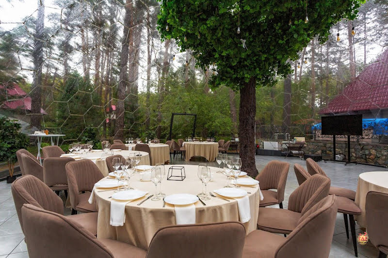 Хвоя фотография №4