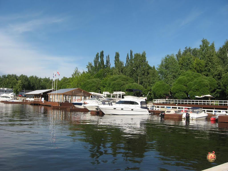 Медуза фотография №1