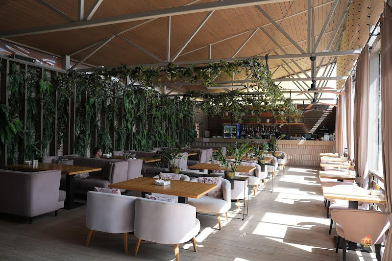 Чёрная утка фотография №3