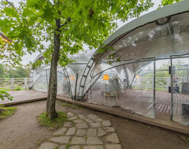  ресторан Рыба на даче