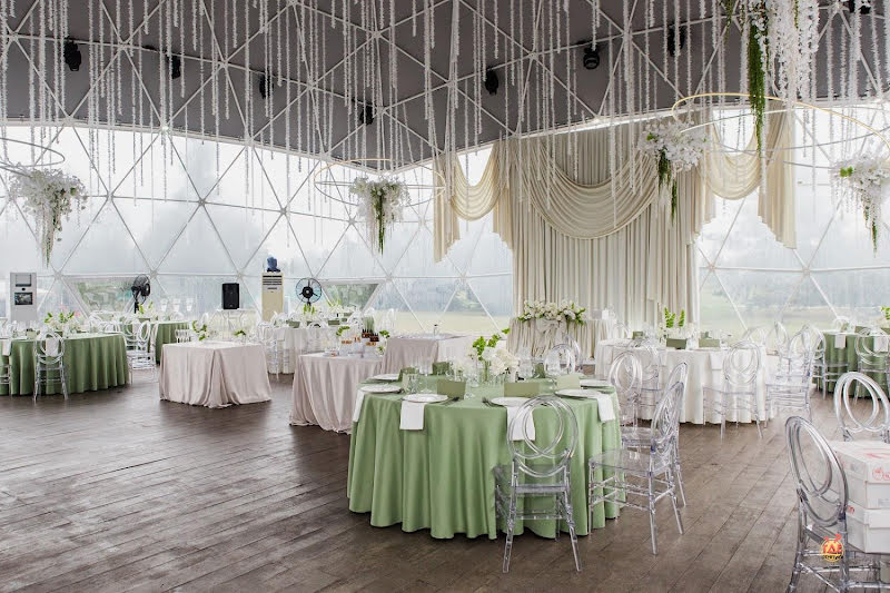 Cristal фотография №10