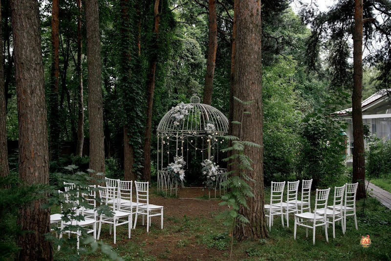 Лесной берег фотография №18