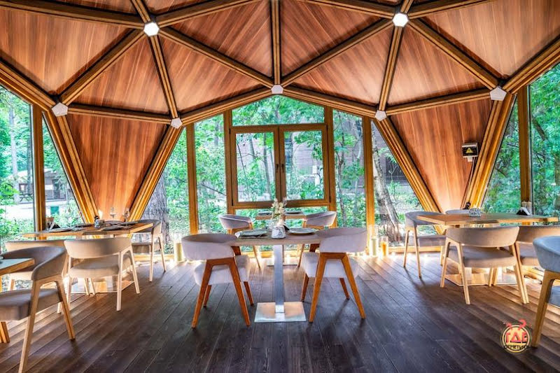 Fox фотография №10