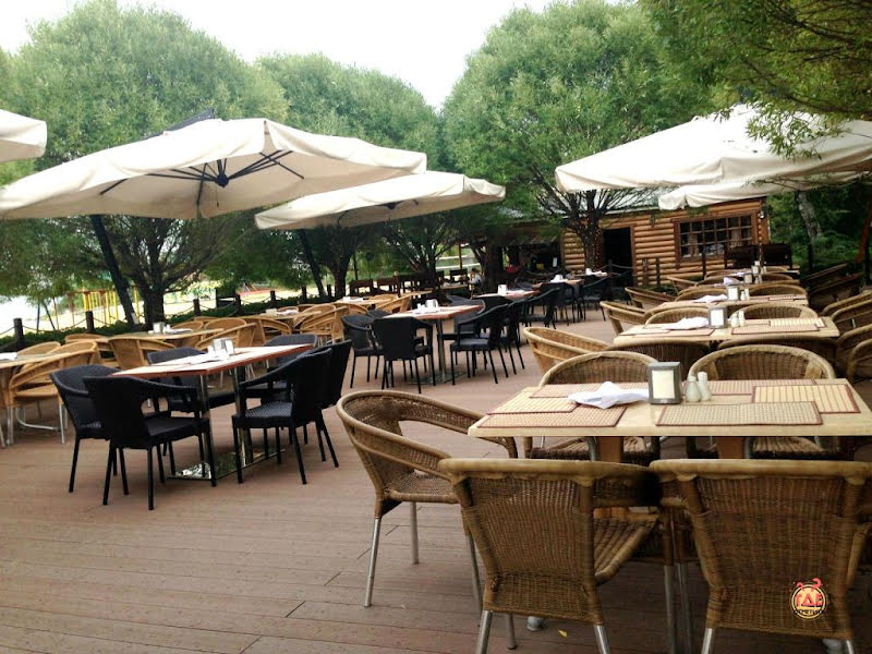 Березка фотография №17