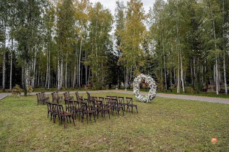 Серебро фотография №10