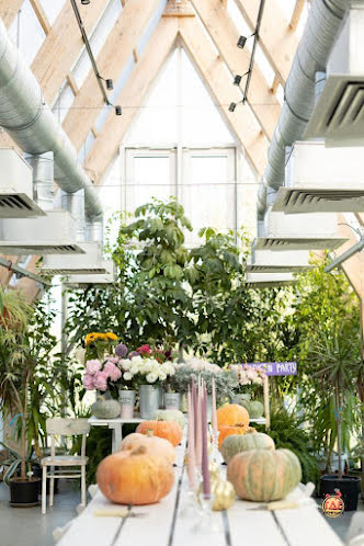 Левая и правая оранжерея  в «Городская Ферма» фотография №10