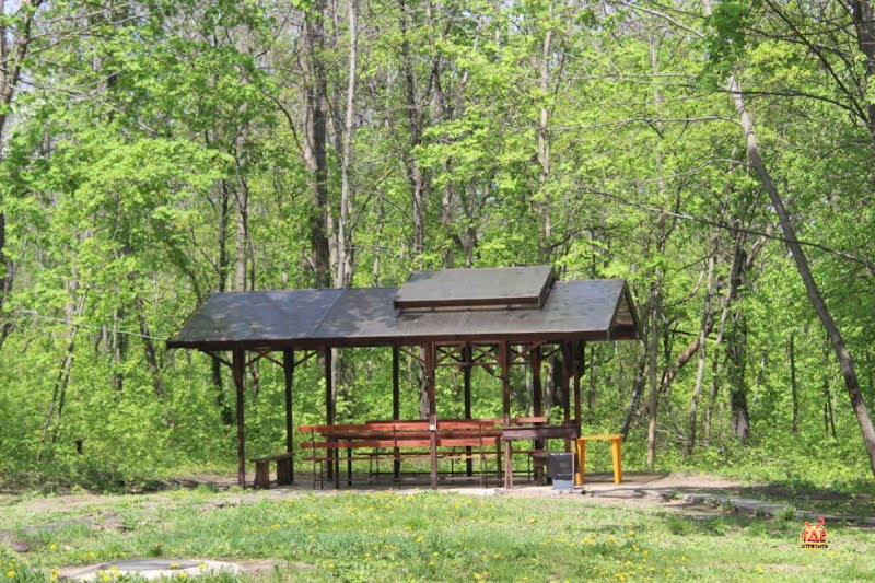 Алмазы фотография №10