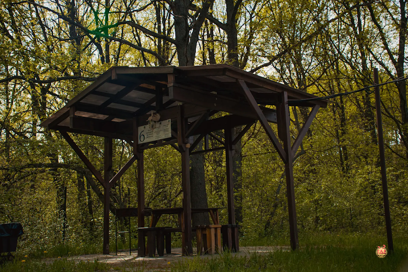 Лукоморье фотография №5