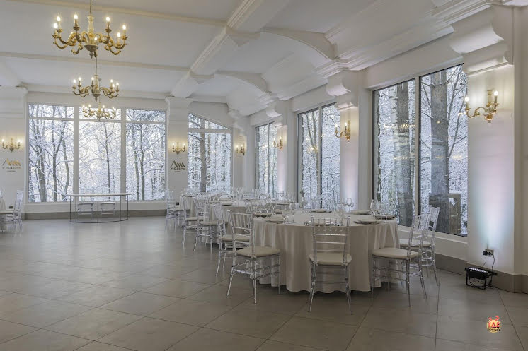 Нижний зал в «Мир у Озера» фотография №13