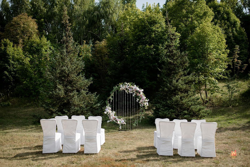 Сокол фотография №10