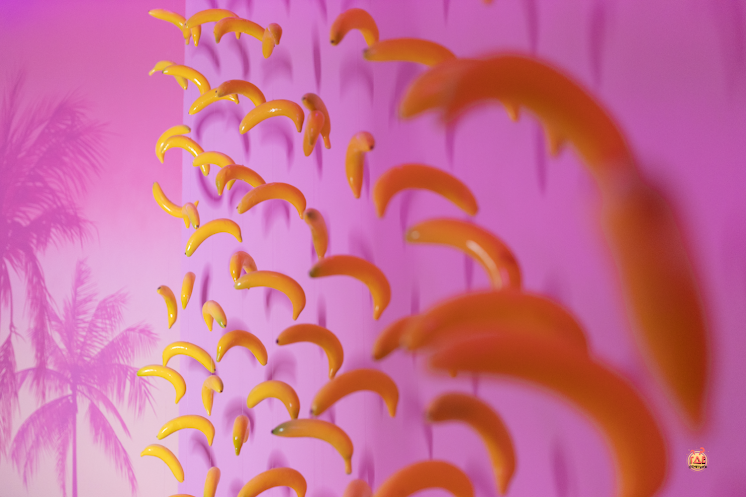 Mr.Flamingo в «Rubin Loft на Кожевенной» фотография №4