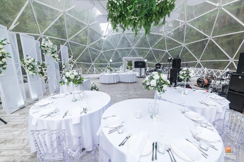 Хвоя фотография №6