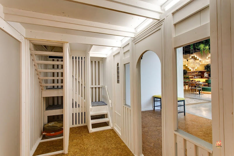 Кукуруза в Мурино фотография №14