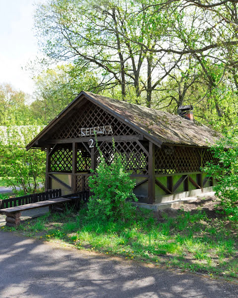 Лукоморье фотография №16