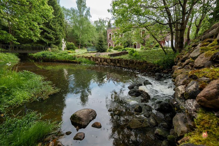 Банкетный зал в «Замок Монсоро» фотография №7