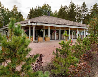 День рождения в Лес