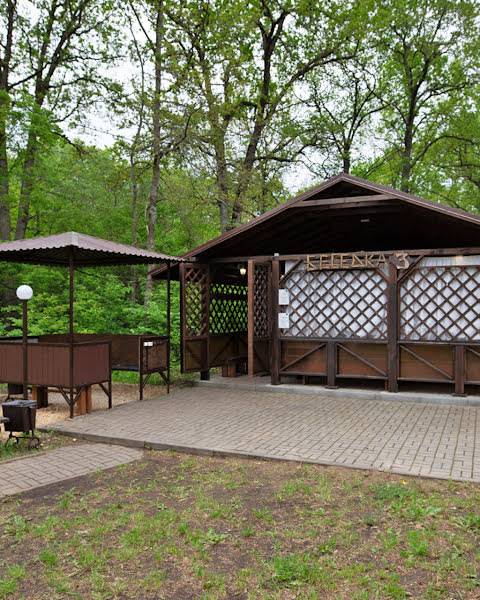 Лукоморье фотография №17