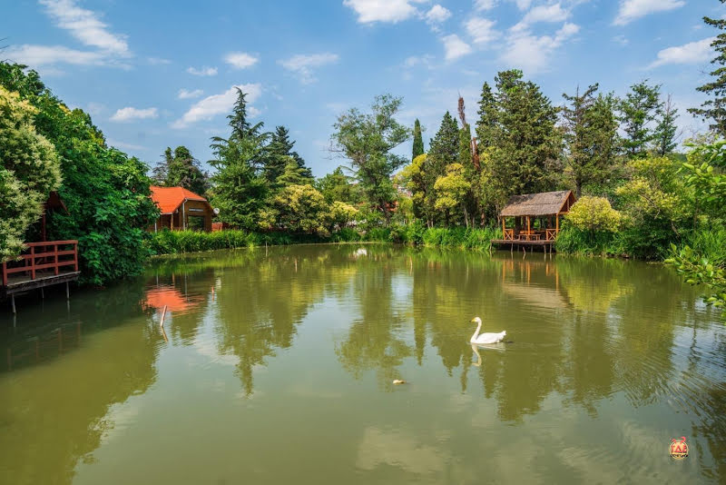 Озеро Дивное фотография №19