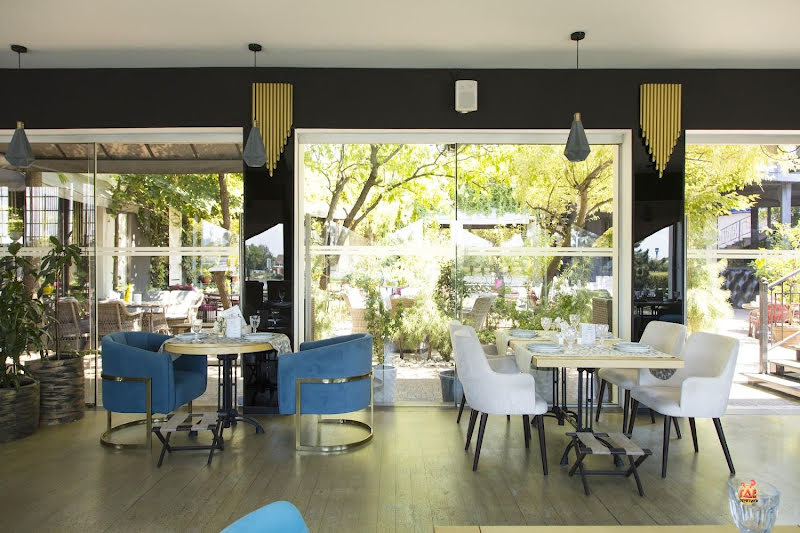 Stephania фотография №11