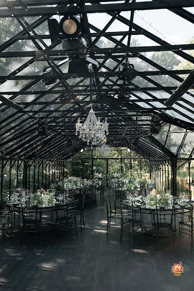 Forest Dew фотография №4