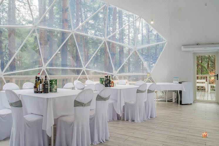 Купол «Премьер» в «Лесная галактика» фотография №5