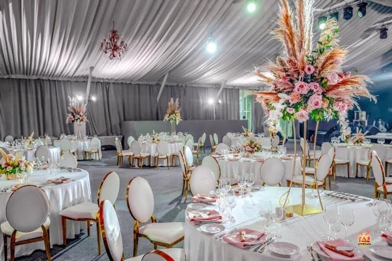 Majestic фотография №10