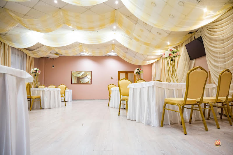 Чайка фотография №6