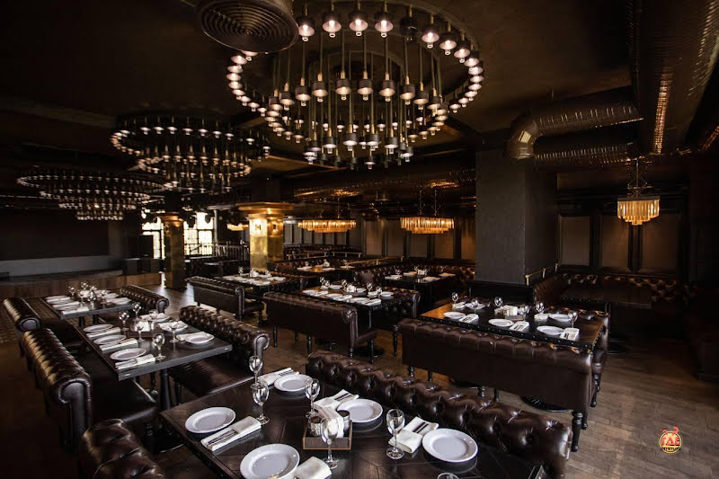 Чёрная утка фотография №8