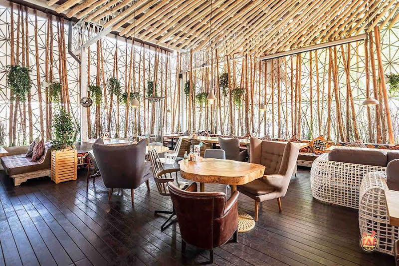 Чайхона №1 Жуковка фотография №2