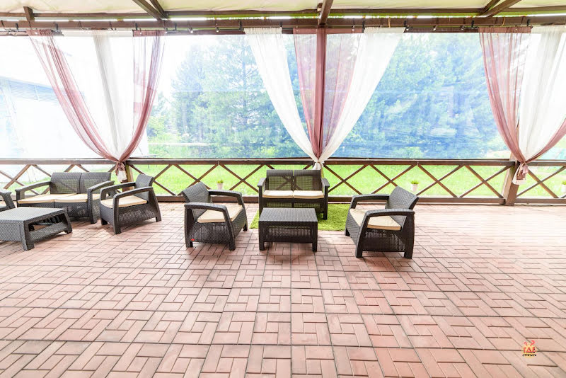 Шишка фотография №17