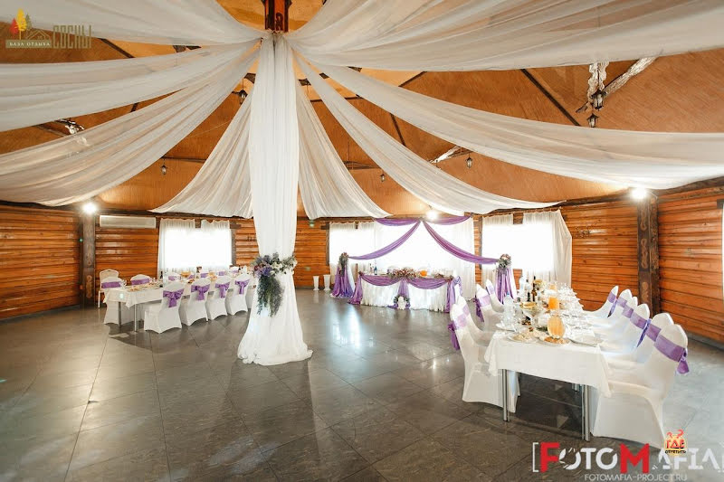 Сосны фотография №5