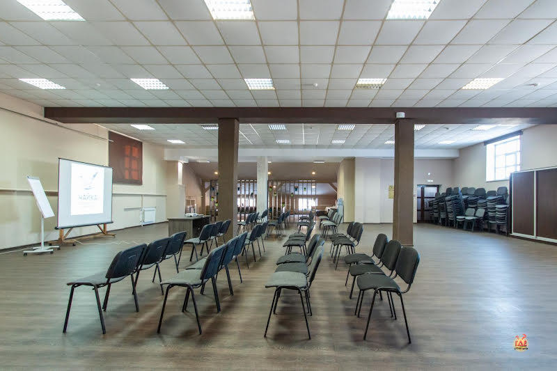 Чайка фотография №11