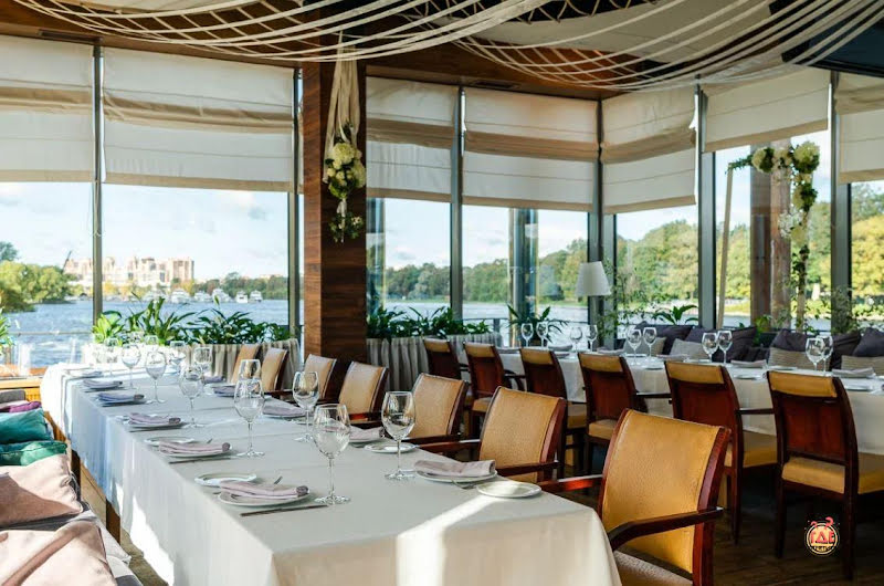 Чайка фотография №15