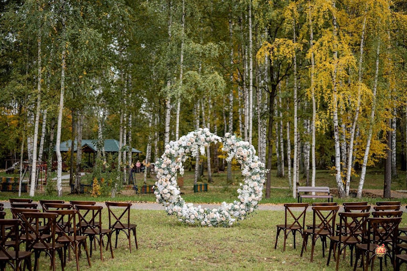 Серебро фотография №15