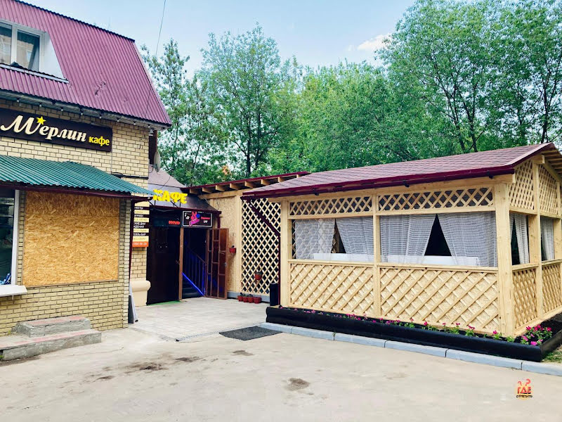 Мерлин фотография №15