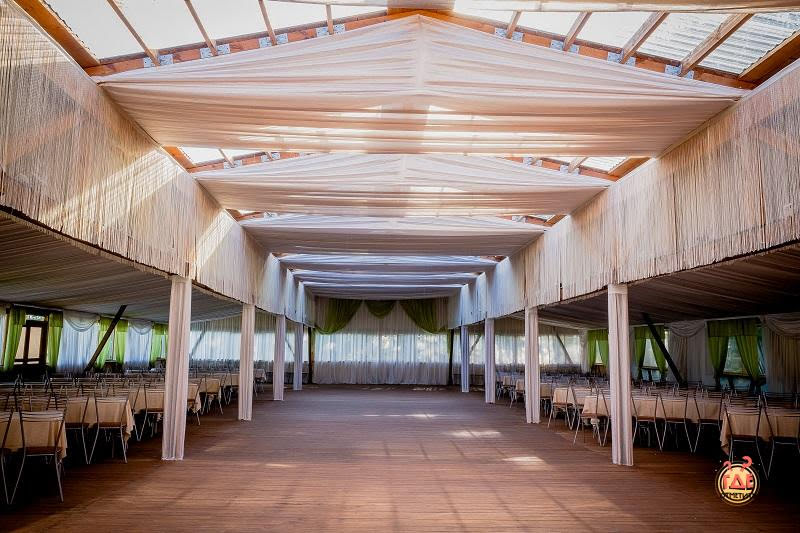 Иволга фотография №9